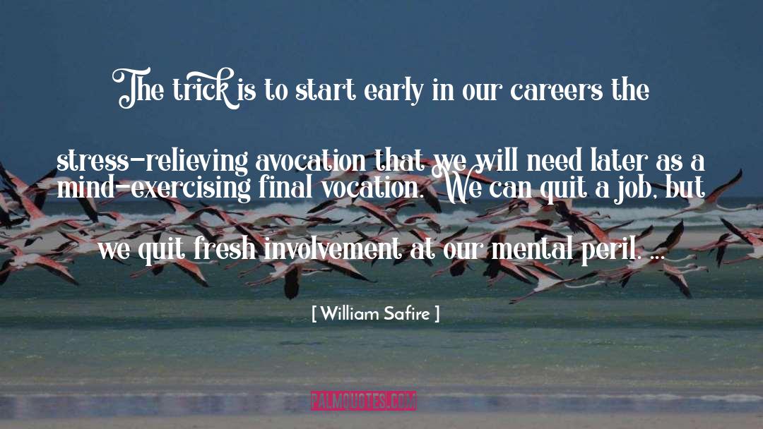 Final Moments quotes by William Safire