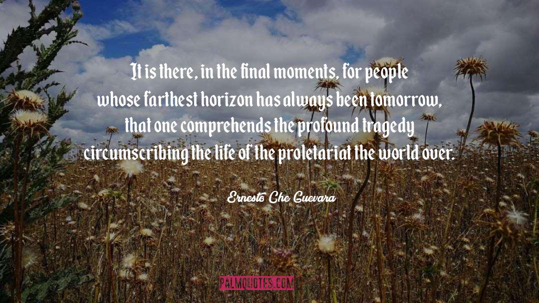 Final Moments quotes by Ernesto Che Guevara