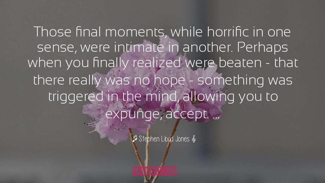 Final Moments quotes by Stephen Lloyd Jones