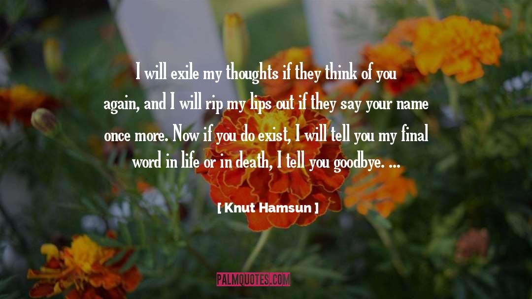 Final Vctory quotes by Knut Hamsun