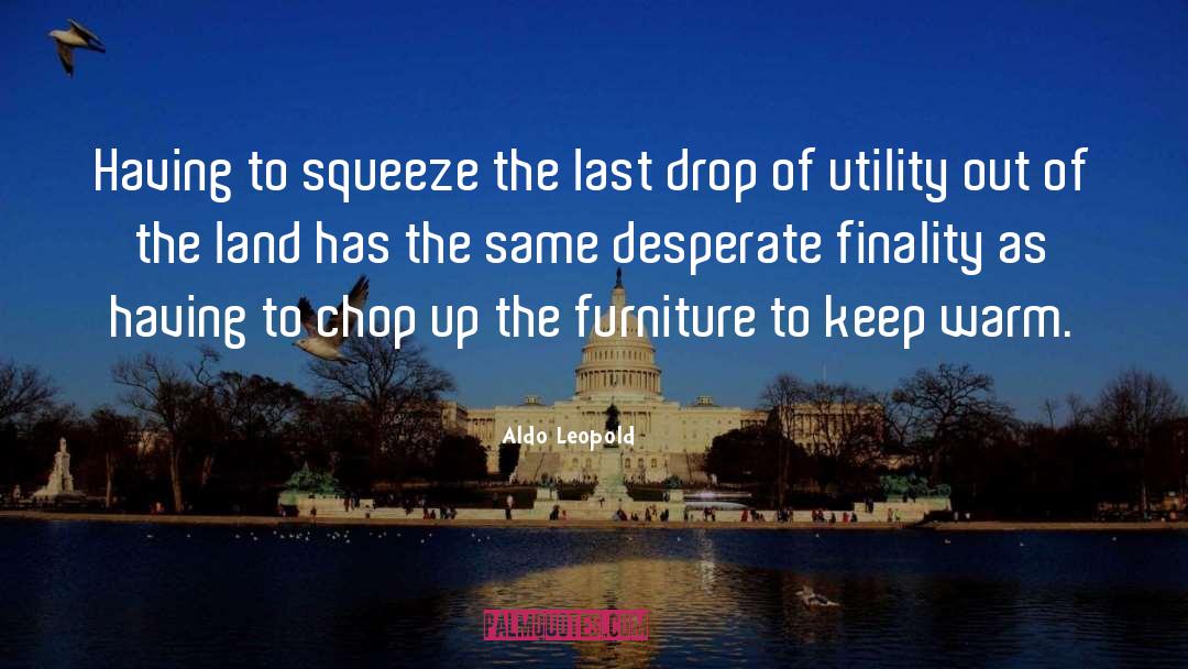 Finality quotes by Aldo Leopold