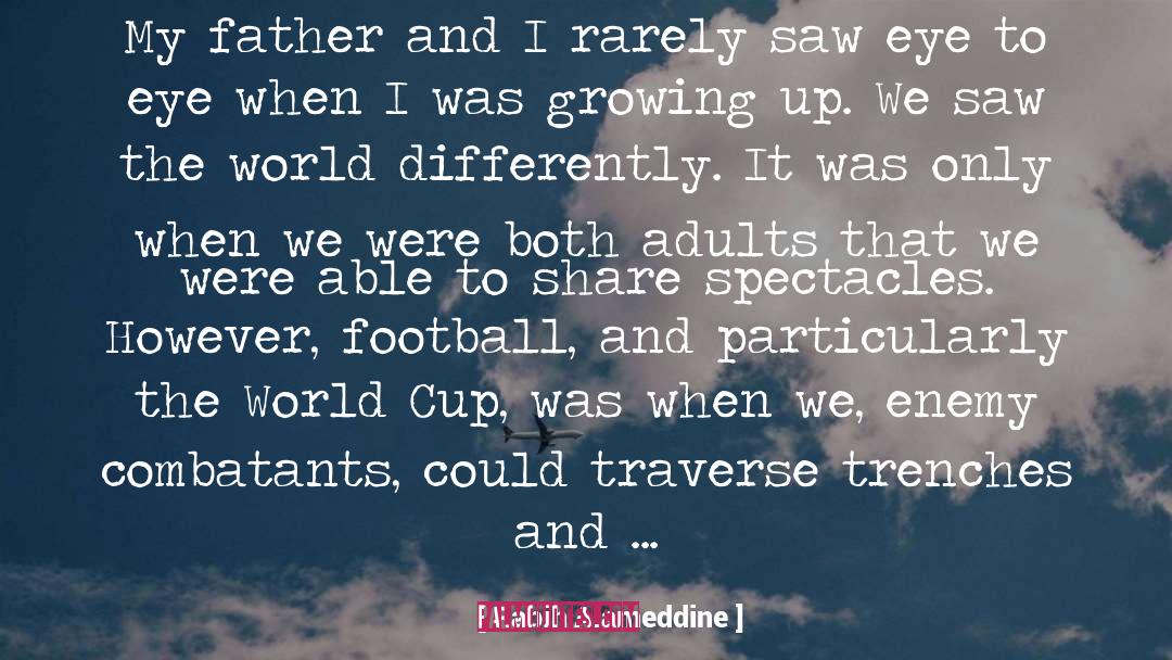 Financial Football quotes by Rabih Alameddine