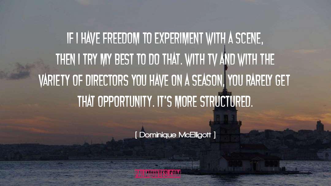 Financial Freedom quotes by Dominique McElligott