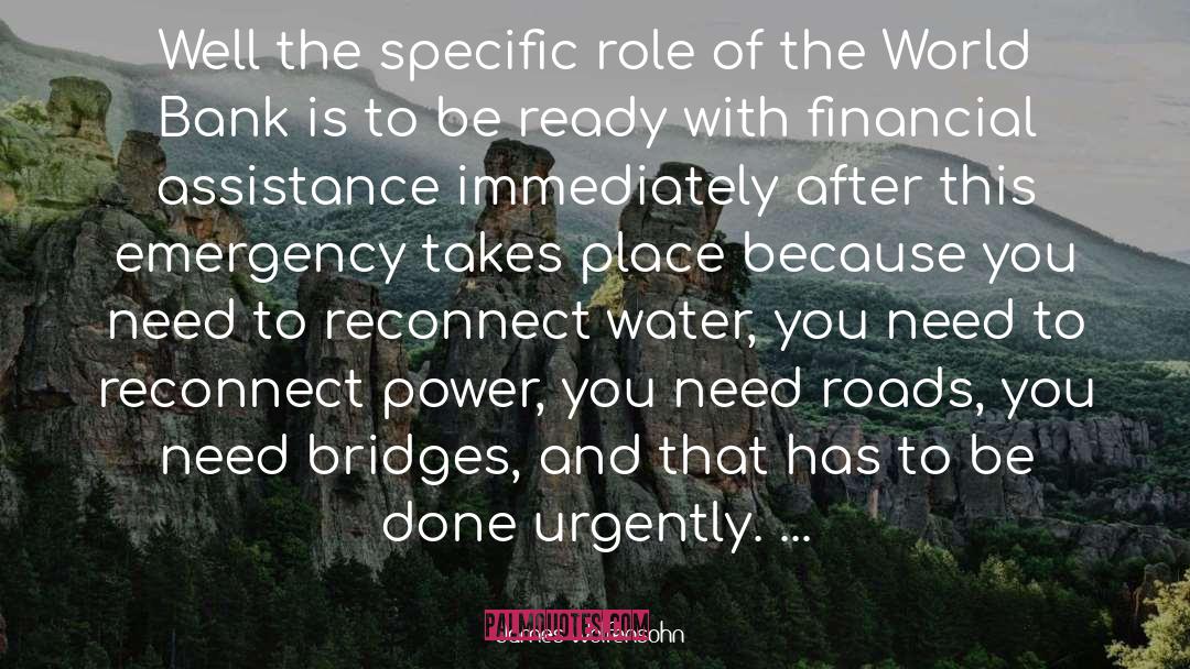 Financial Support quotes by James Wolfensohn