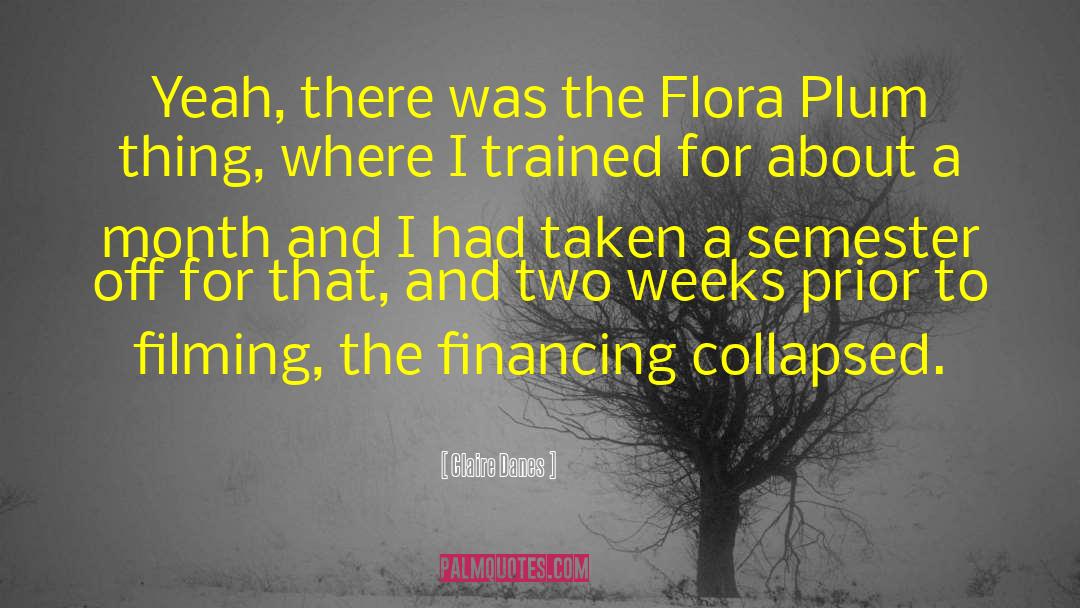 Financing quotes by Claire Danes