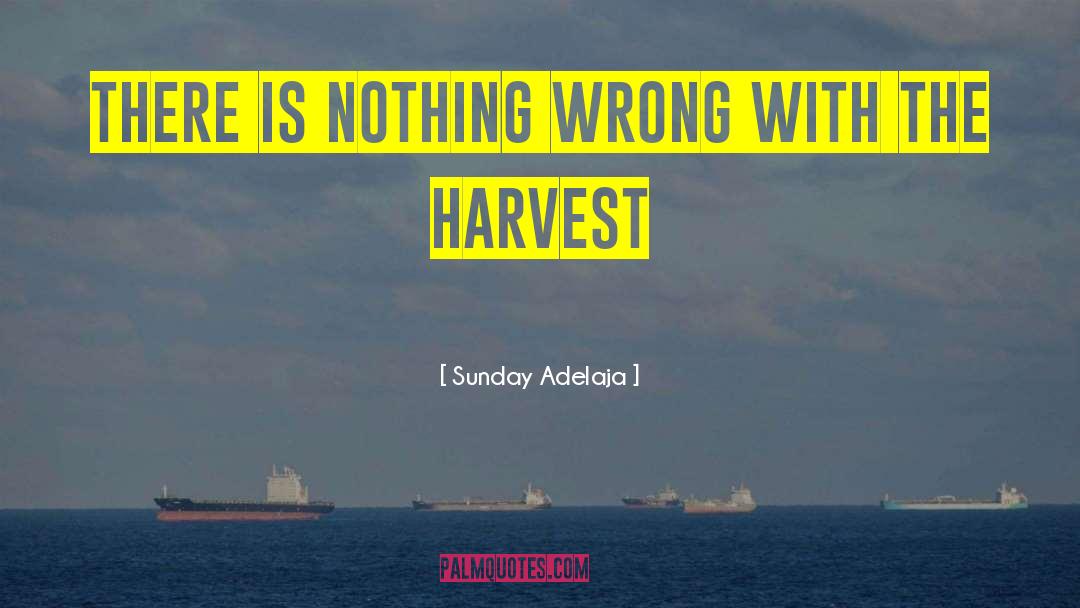 Finbar Wrong quotes by Sunday Adelaja