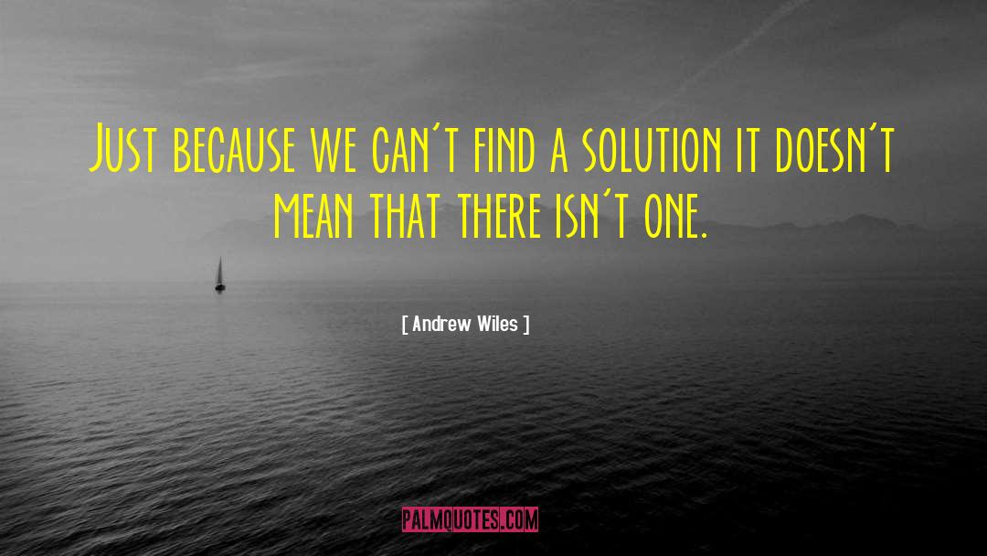 Find A Solution quotes by Andrew Wiles
