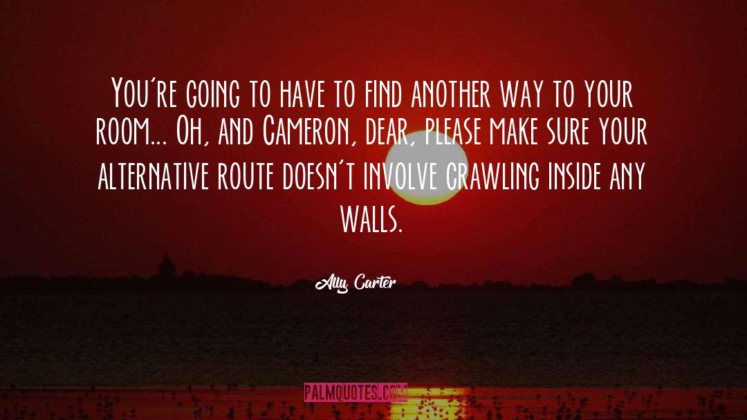 Find Another Way quotes by Ally Carter