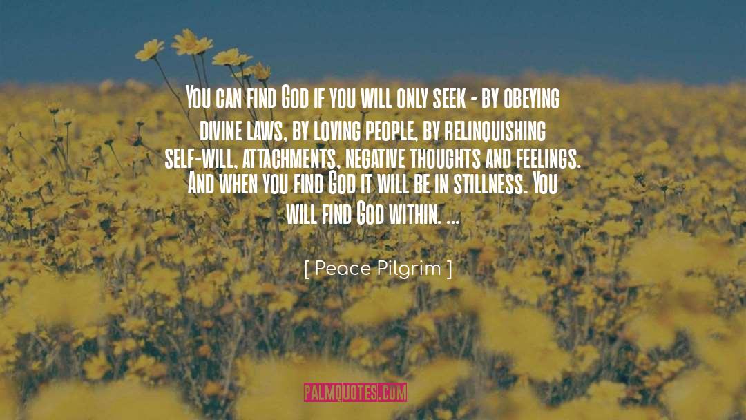 Find God quotes by Peace Pilgrim