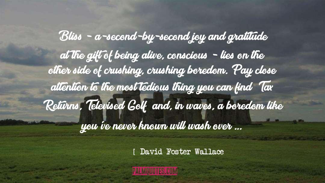 Find Joy In Life quotes by David Foster Wallace