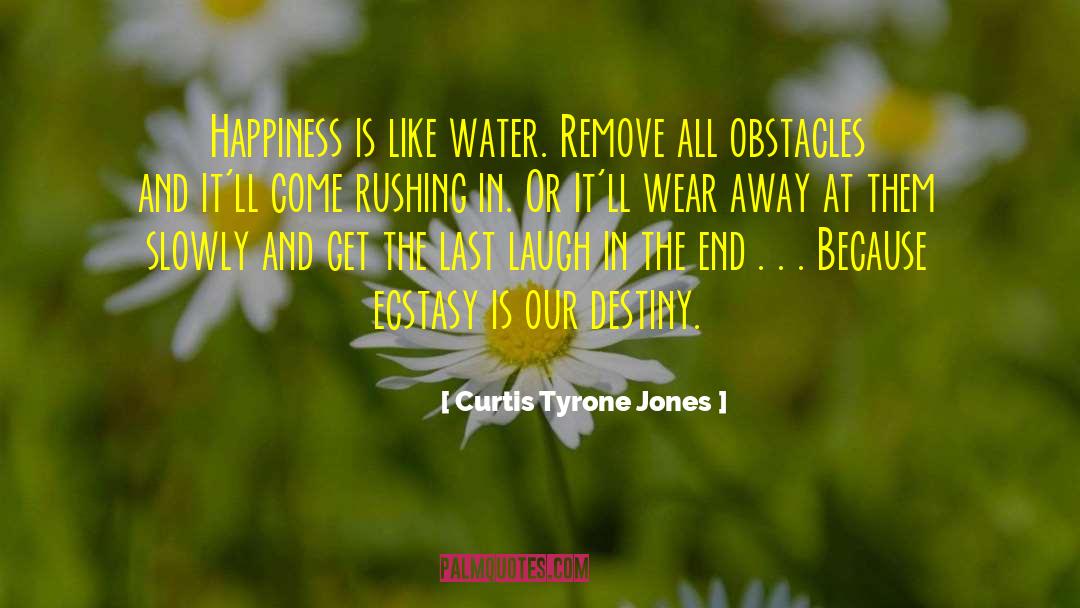 Find Joy In Life quotes by Curtis Tyrone Jones