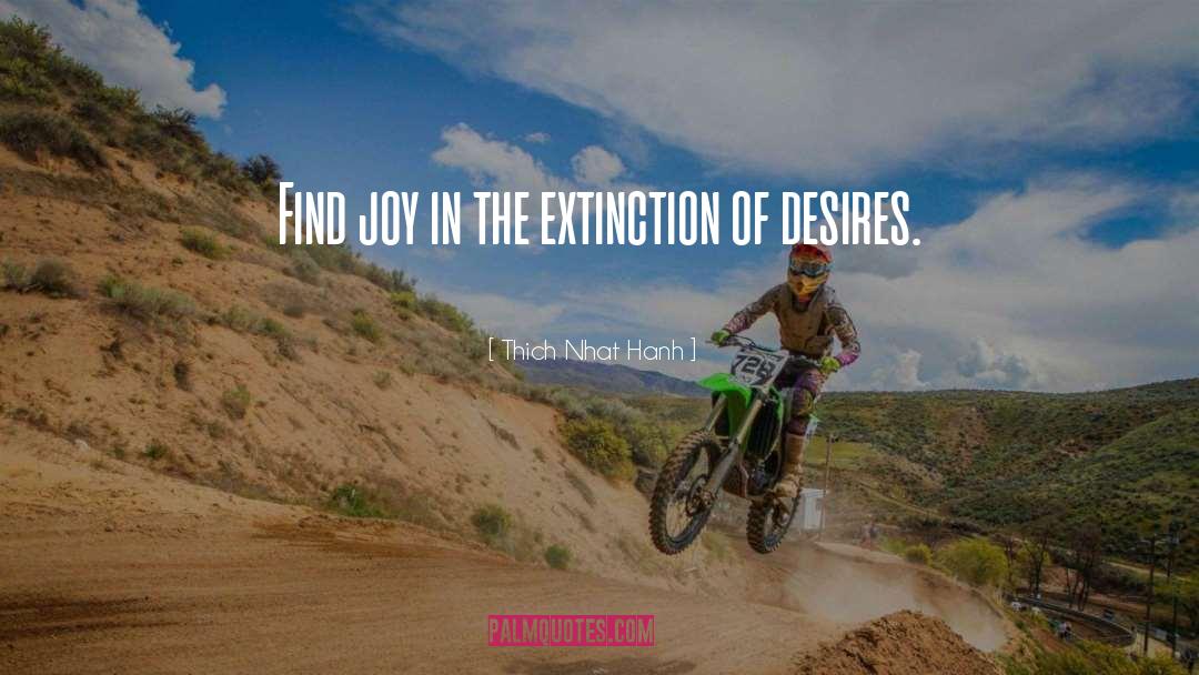 Find Joy quotes by Thich Nhat Hanh