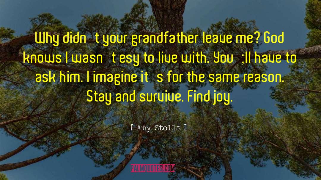 Find Joy quotes by Amy Stolls