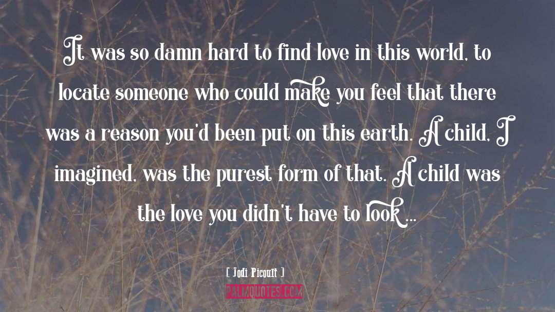 Find Love quotes by Jodi Picoult