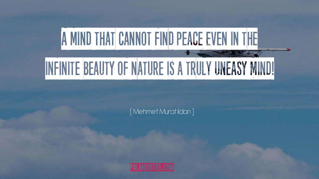 Find Peace quotes by Mehmet Murat Ildan
