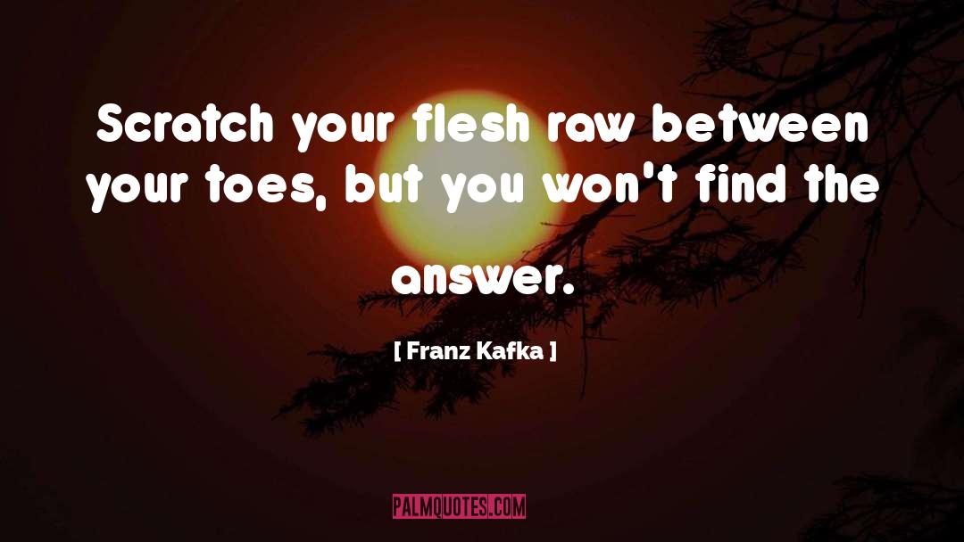 Find The Answer quotes by Franz Kafka