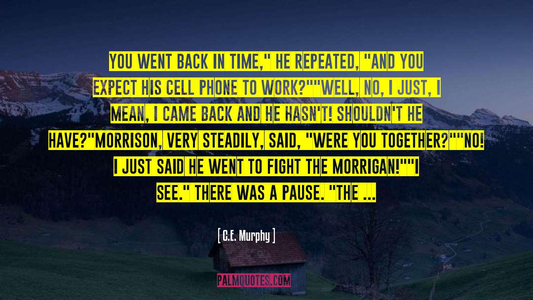 Find The Bad Guy quotes by C.E. Murphy