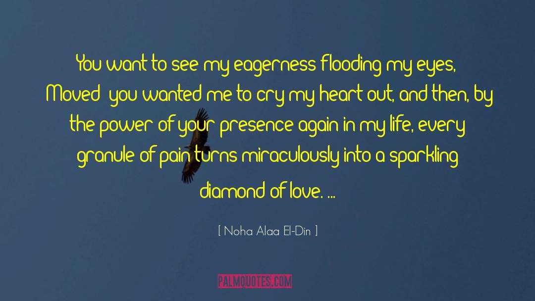 Find The Diamond In Your Heart quotes by Noha Alaa El-Din