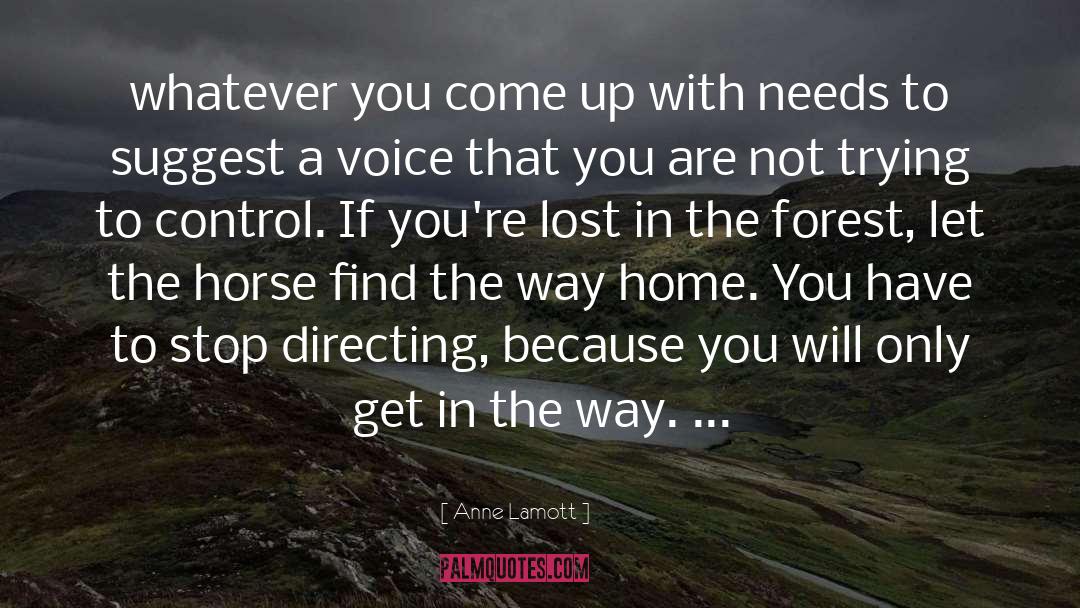Find The Way quotes by Anne Lamott