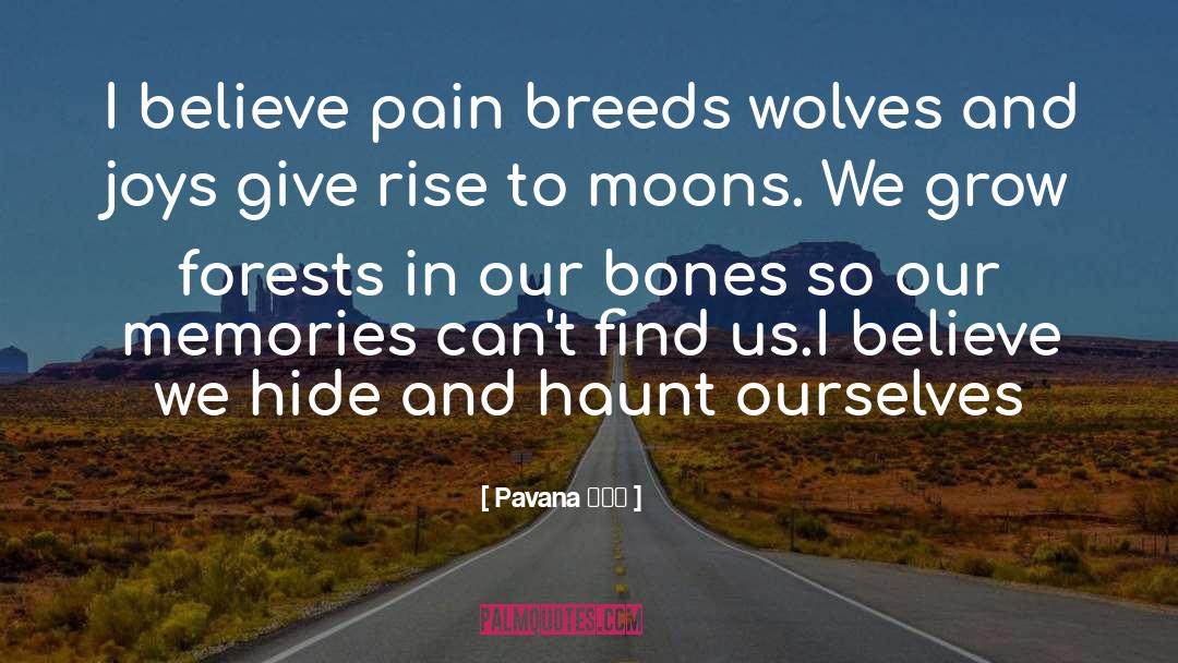 Find Us quotes by Pavana पवन