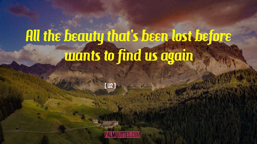 Find Us quotes by U2