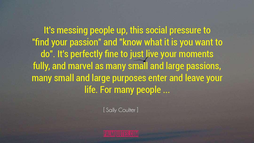 Find Your Passion quotes by Sally Coulter