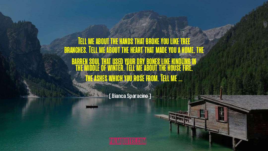 Find Your Soul quotes by Bianca Sparacino