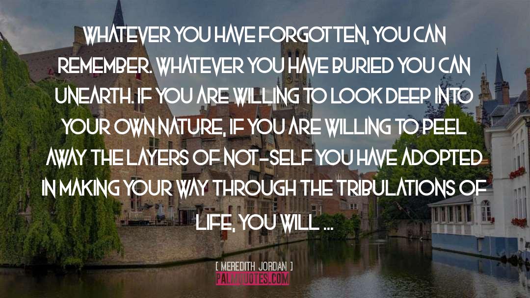 Find Your True Self Deep Inside quotes by Meredith Jordan