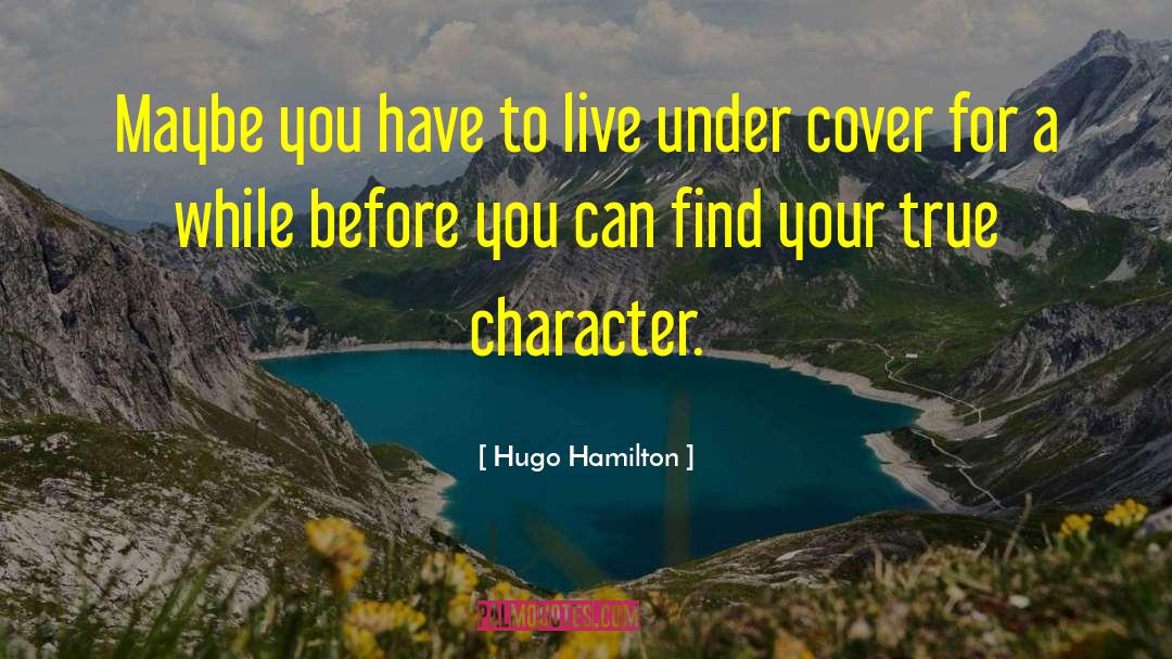 Find Your True Self Deep Inside quotes by Hugo Hamilton
