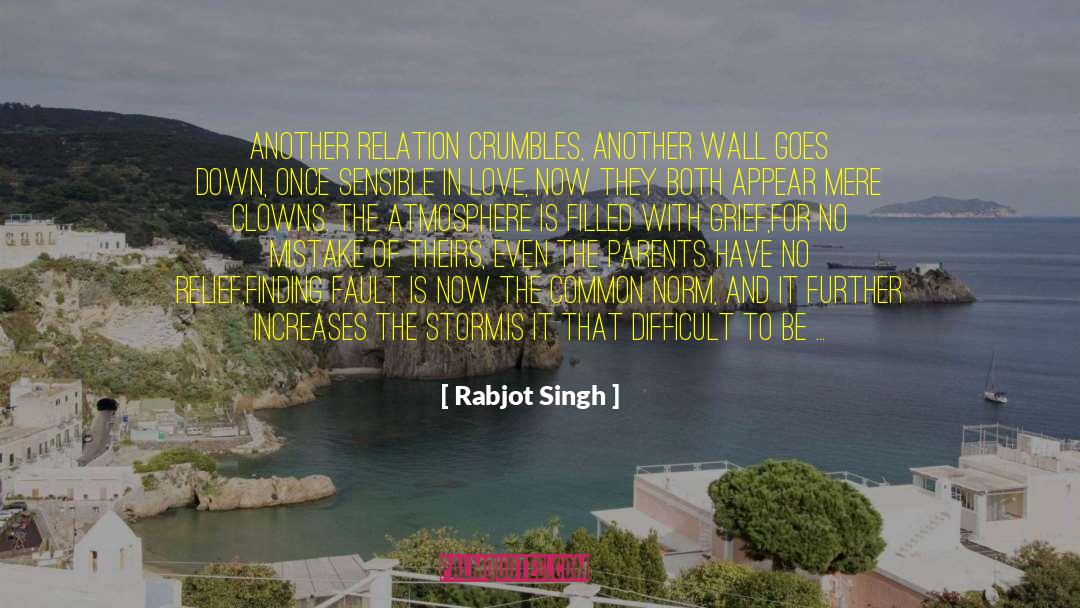 Finding Fault quotes by Rabjot Singh