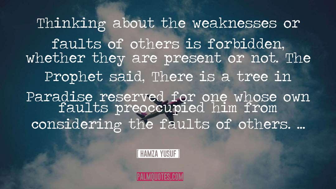 Finding Faults In Others quotes by Hamza Yusuf