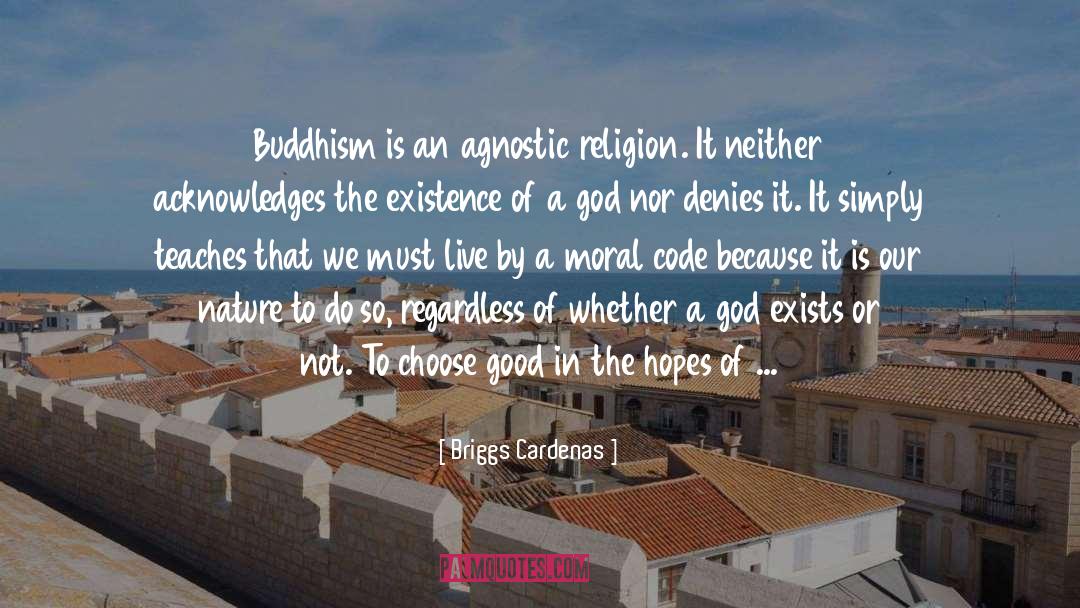 Finding Goodness quotes by Briggs Cardenas