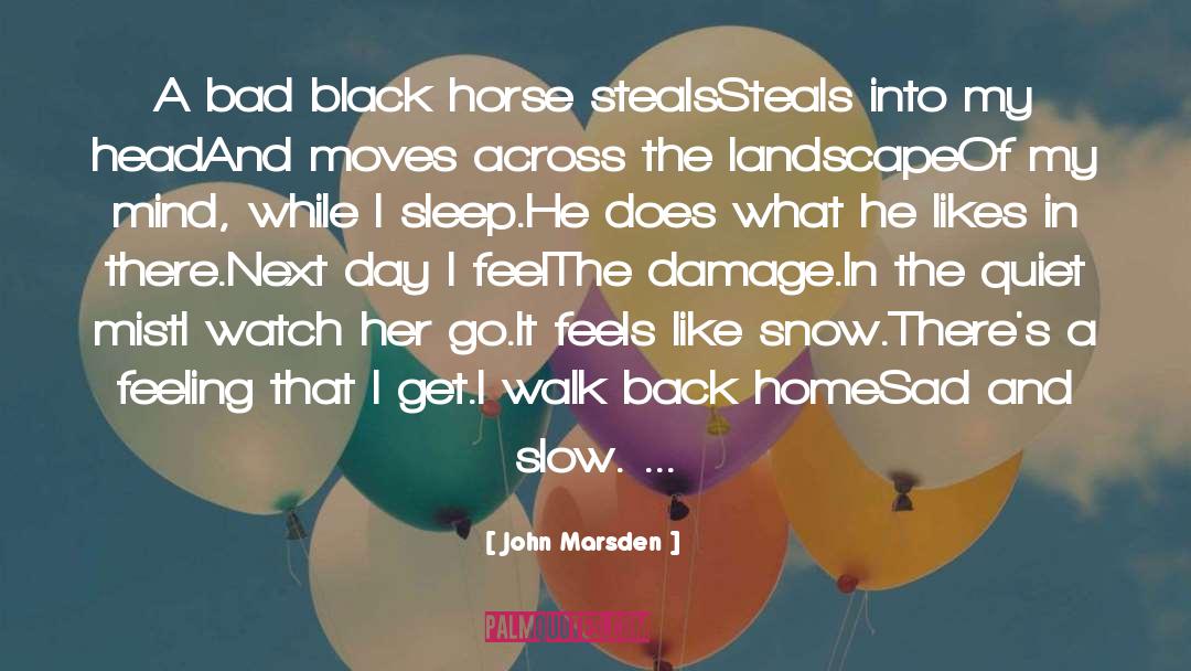 Finding Home quotes by John Marsden