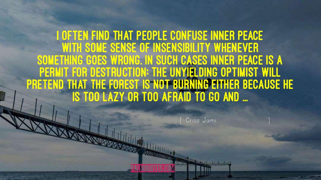 Finding Inner Peace quotes by Criss Jami