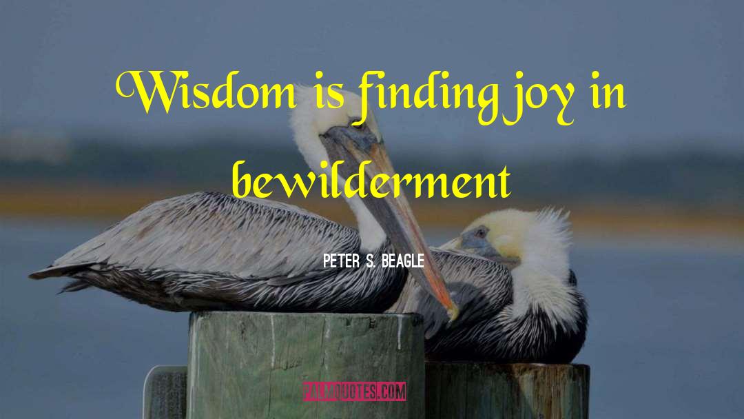 Finding Joy quotes by Peter S. Beagle