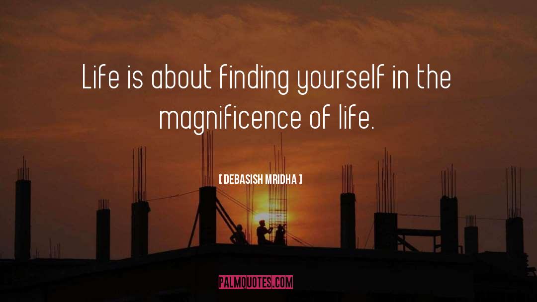 Finding Meaning quotes by Debasish Mridha