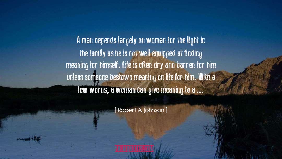 Finding Meaning quotes by Robert A. Johnson