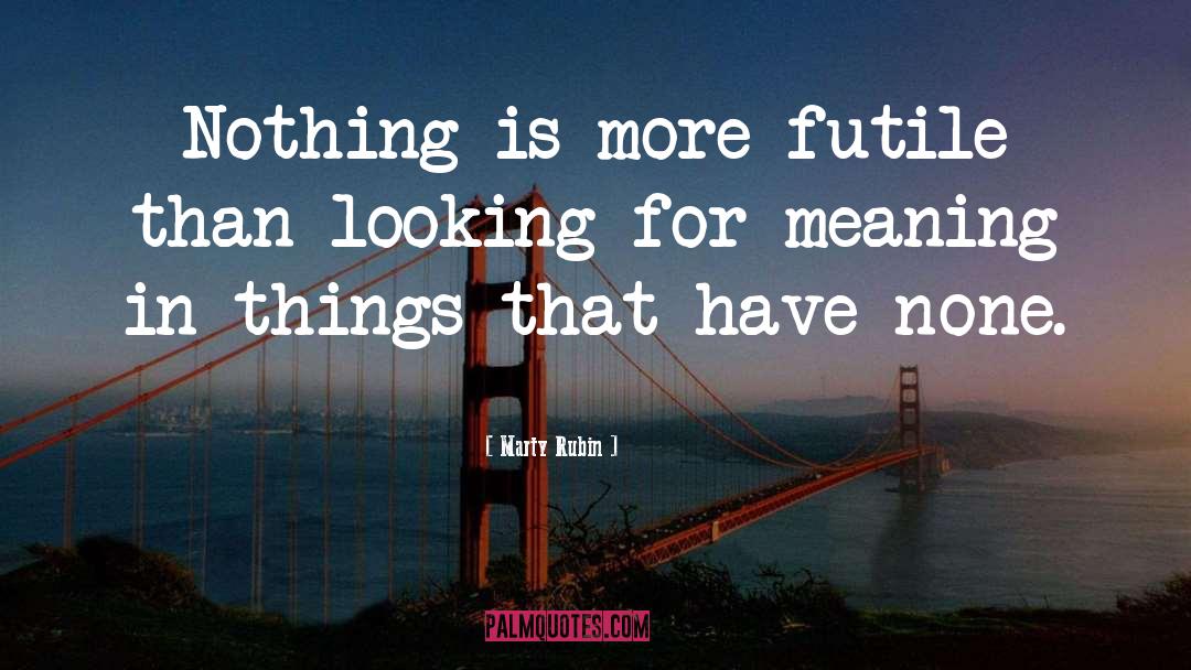 Finding Meaning quotes by Marty Rubin