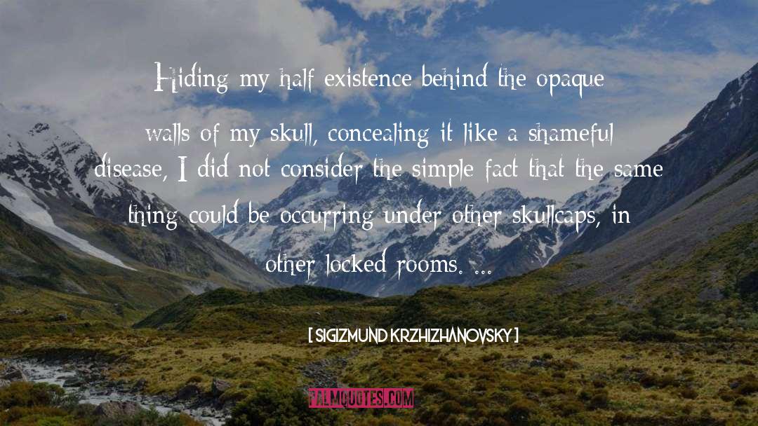 Finding My Other Half quotes by Sigizmund Krzhizhanovsky