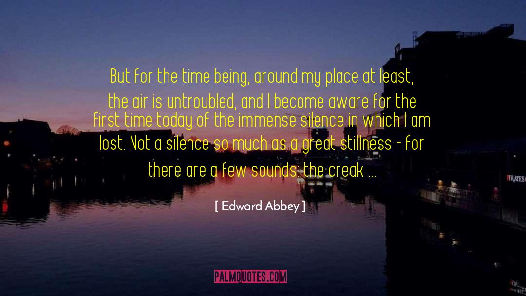 Finding Peace In Silence quotes by Edward Abbey