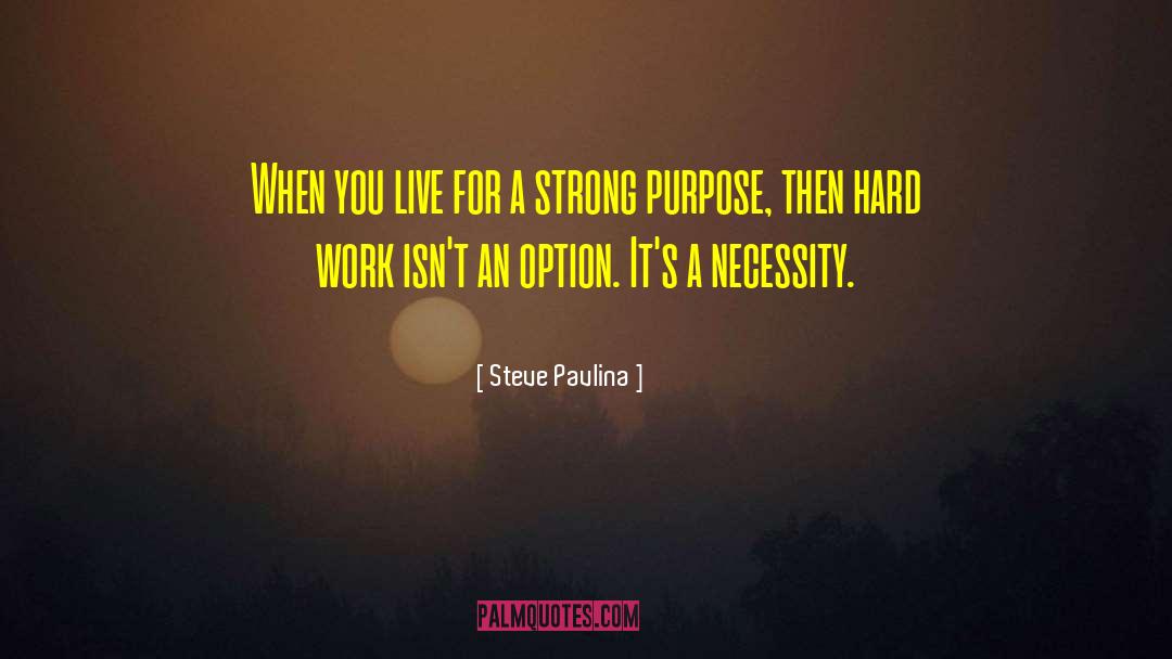 Finding Purpose quotes by Steve Pavlina