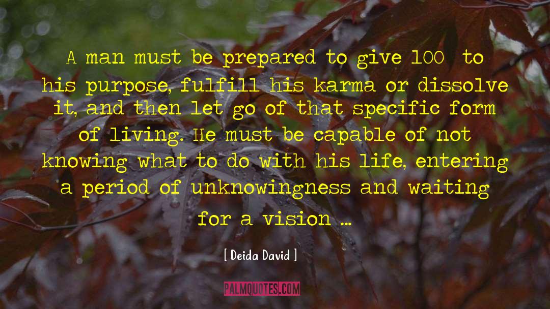 Finding Purpose quotes by Deida David