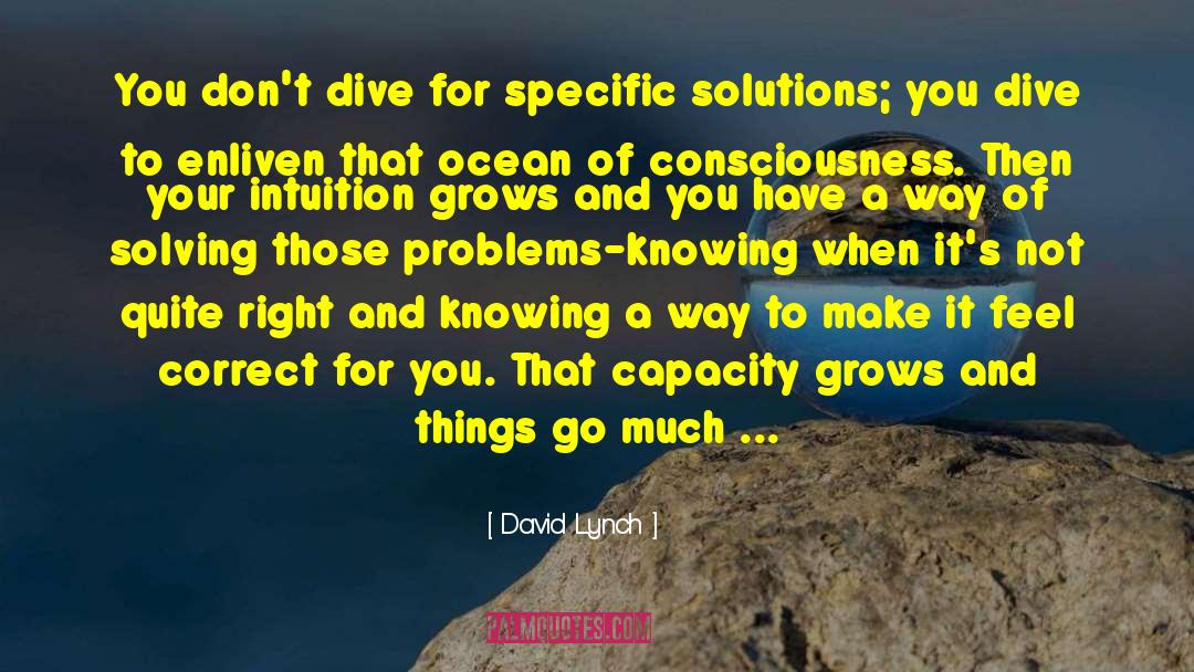 Finding Solutions To Problems quotes by David Lynch