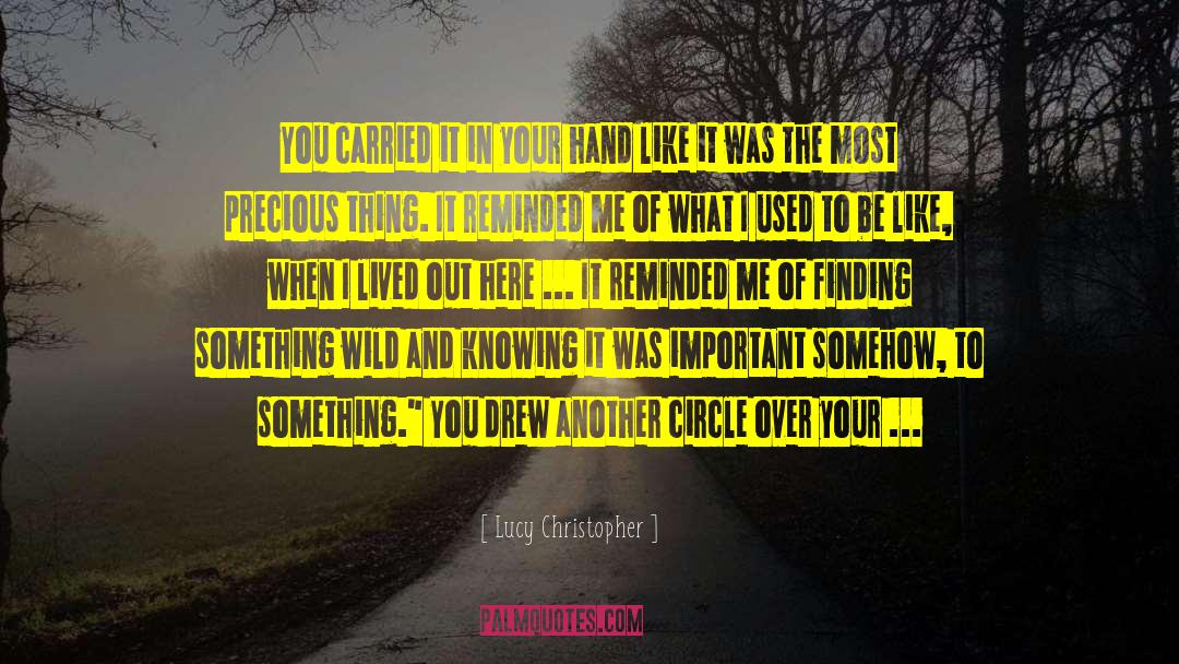 Finding Something quotes by Lucy Christopher