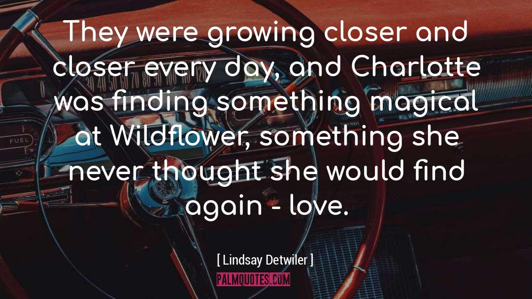 Finding Something quotes by Lindsay Detwiler