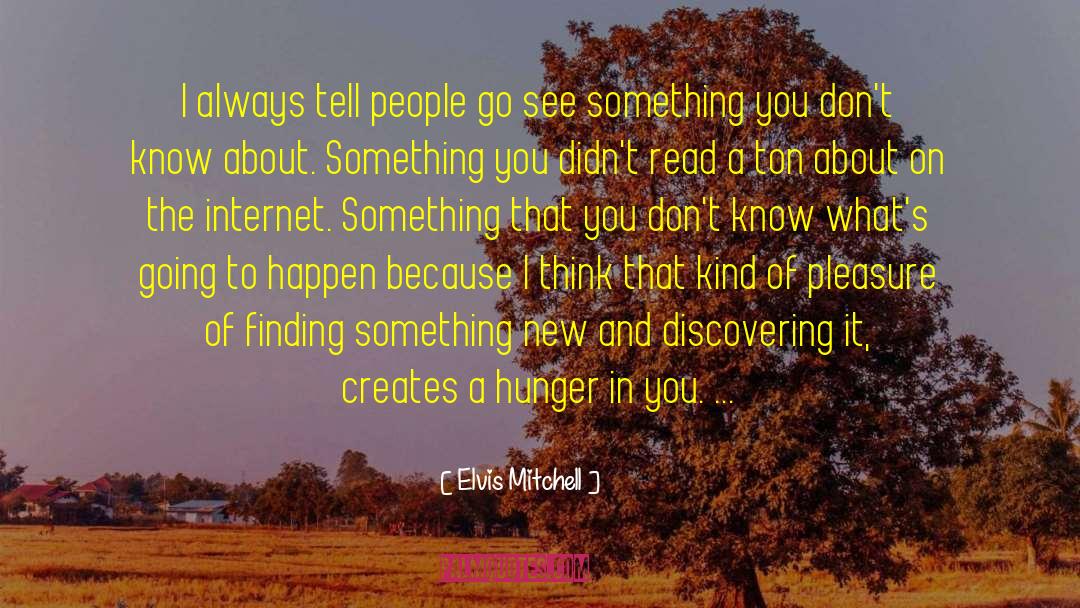 Finding Something quotes by Elvis Mitchell