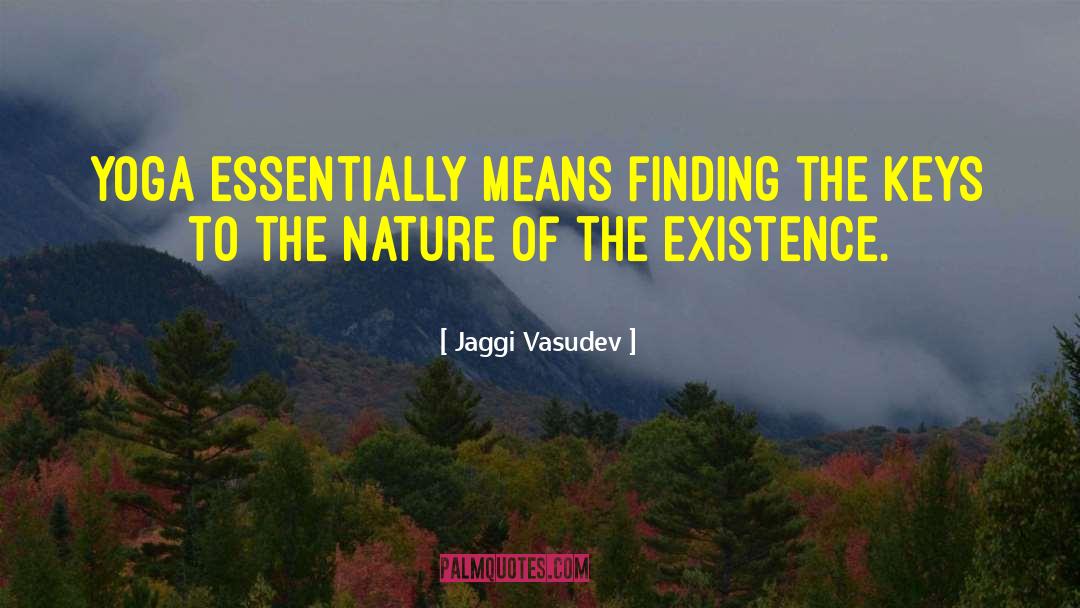 Finding Spiritual Whitespace quotes by Jaggi Vasudev