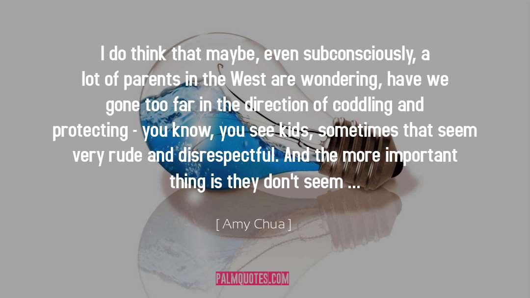 Finding The Important Thing quotes by Amy Chua