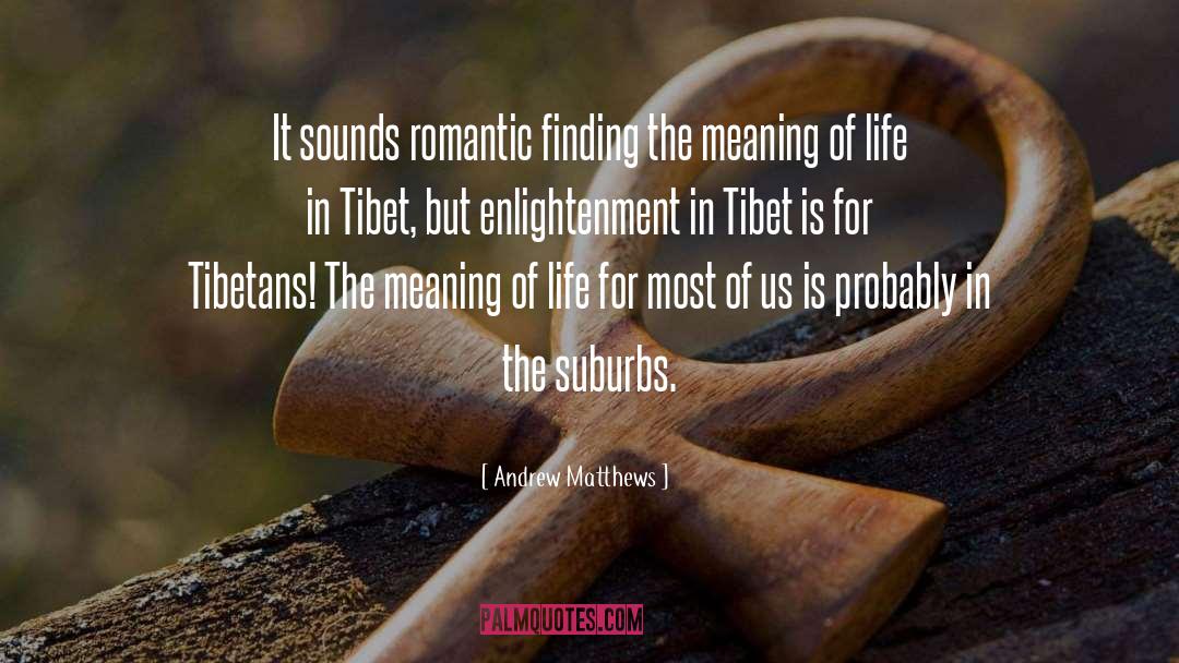 Finding The Meaning Of Life quotes by Andrew Matthews