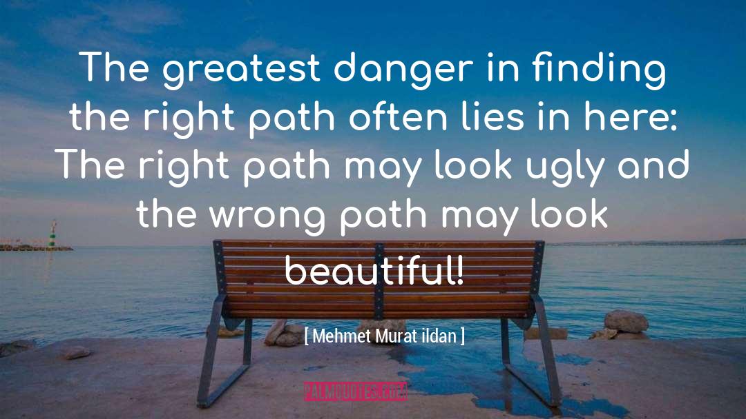 Finding The Right Path quotes by Mehmet Murat Ildan